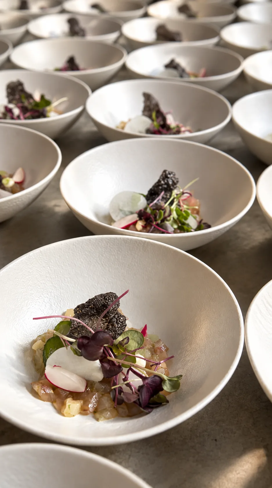 Rows of prepared dishes arranged for a large event